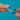 245 inscription on the Gold drop bar